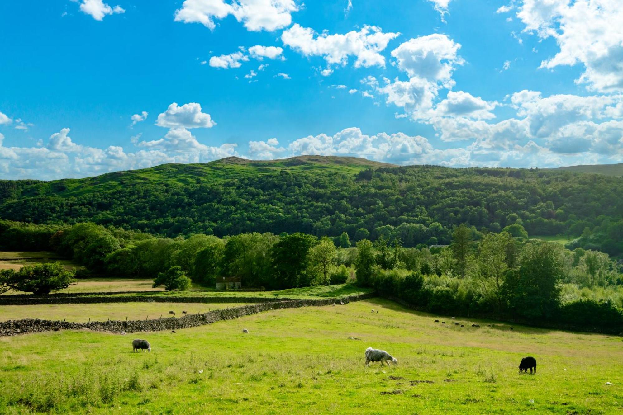 Bridge End Farm Cottages Boot Екстер'єр фото